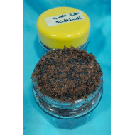 ΜΠΟΥΧΟΥΡΙ ΝΤΑΚΕΤ ΤΙΠ ΑΛ ΣΑΛΤΑΝΑ